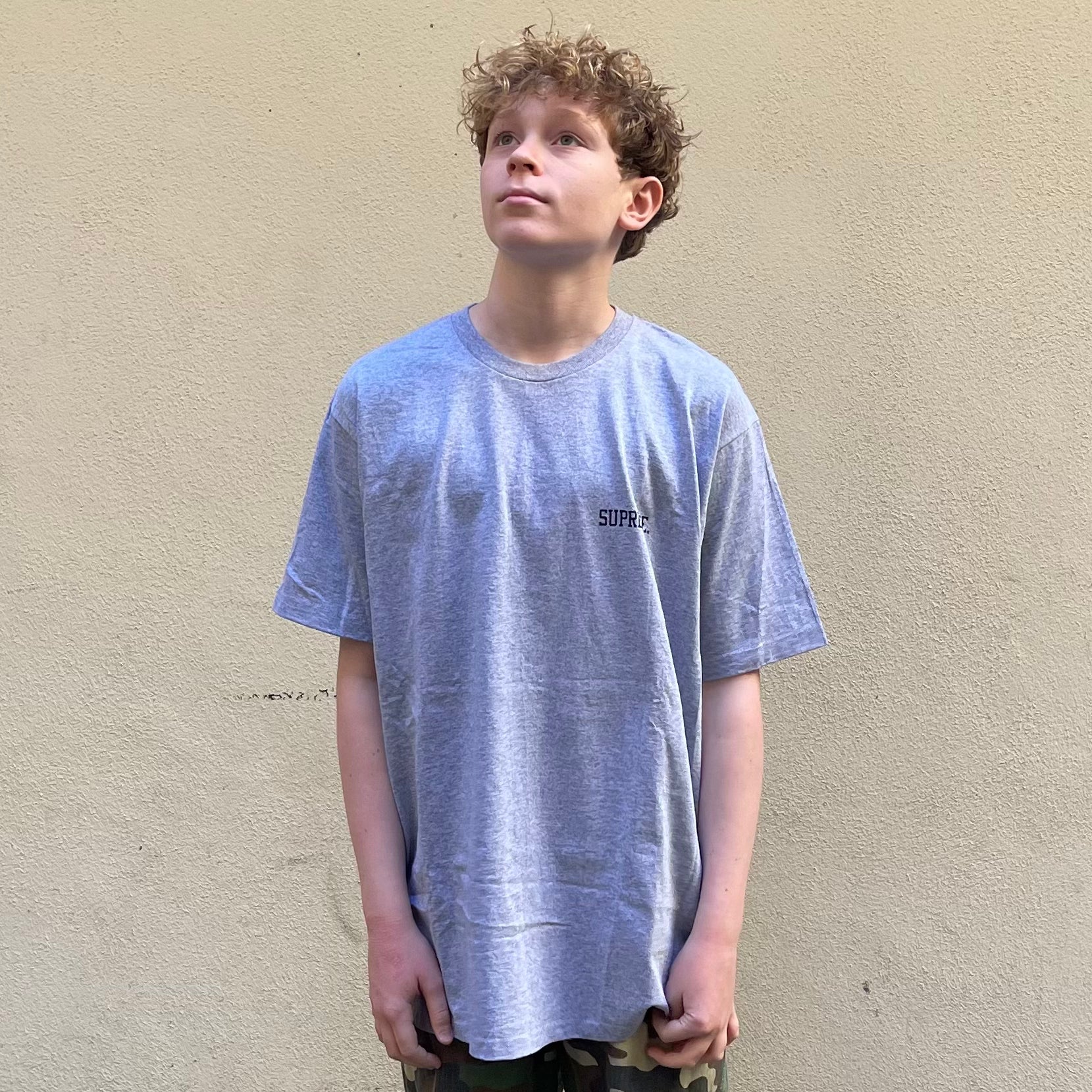 Supreme Joel-Peter Witkin Mother and Child Heather Grey Tshirt