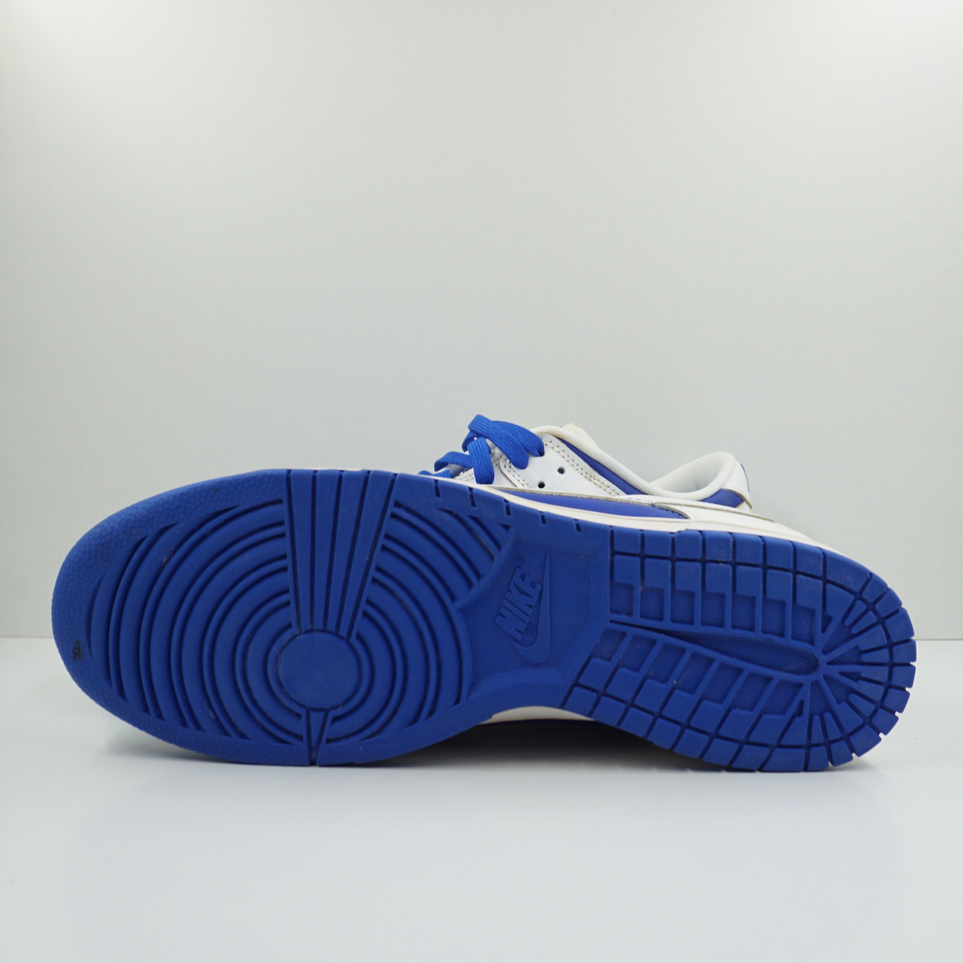 Nike Dunk Low Racer Blue White "CATS" Custom Painted