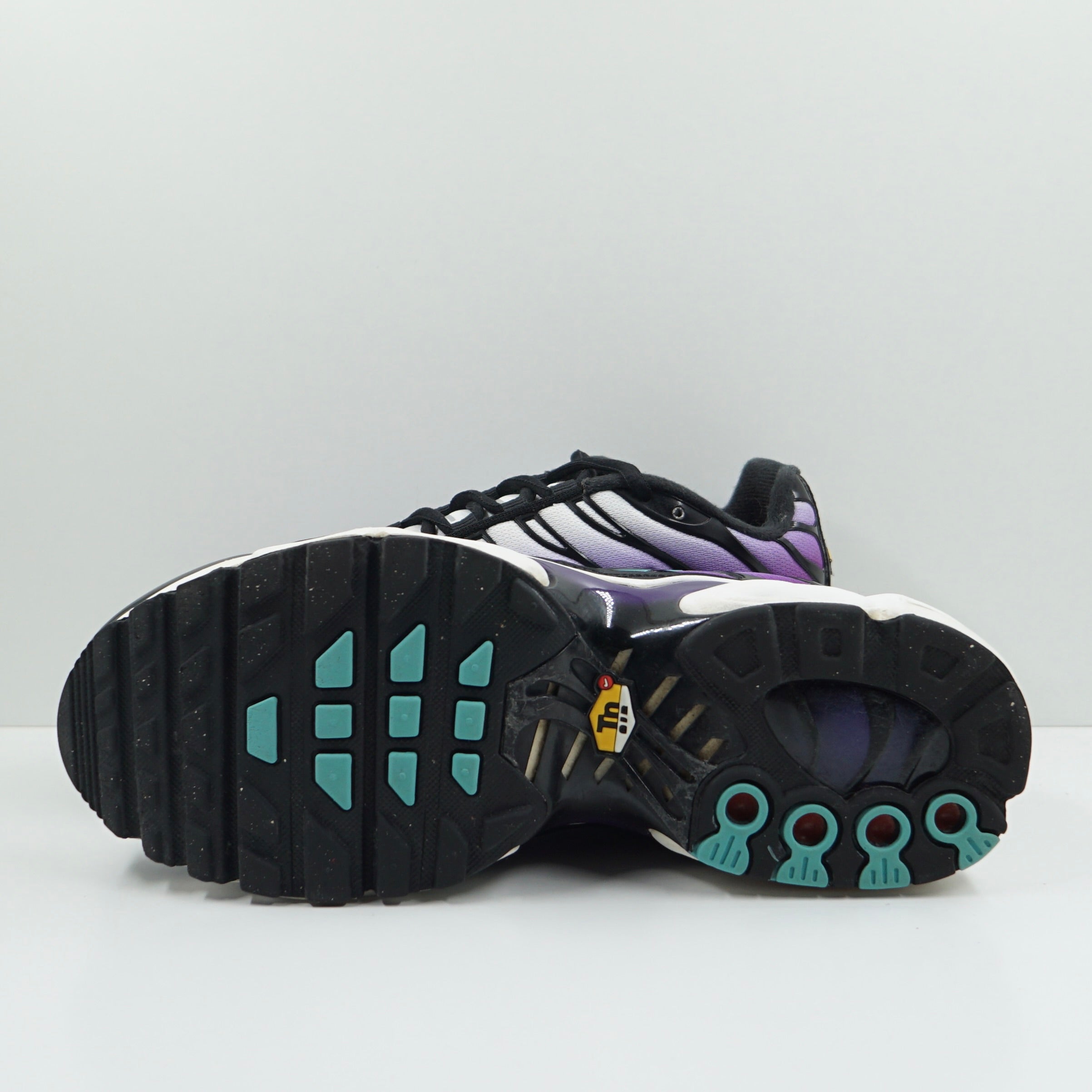 Nike Air Max Plus Reverse Grape (GS)