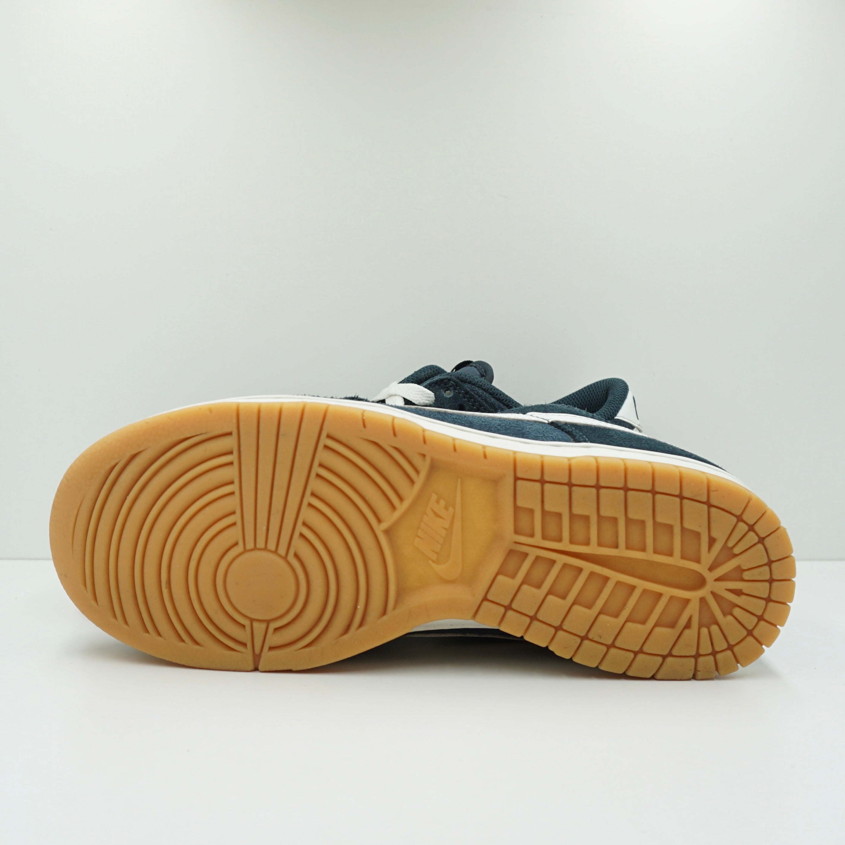 Nike Dunk Low SE Monsoon Blue