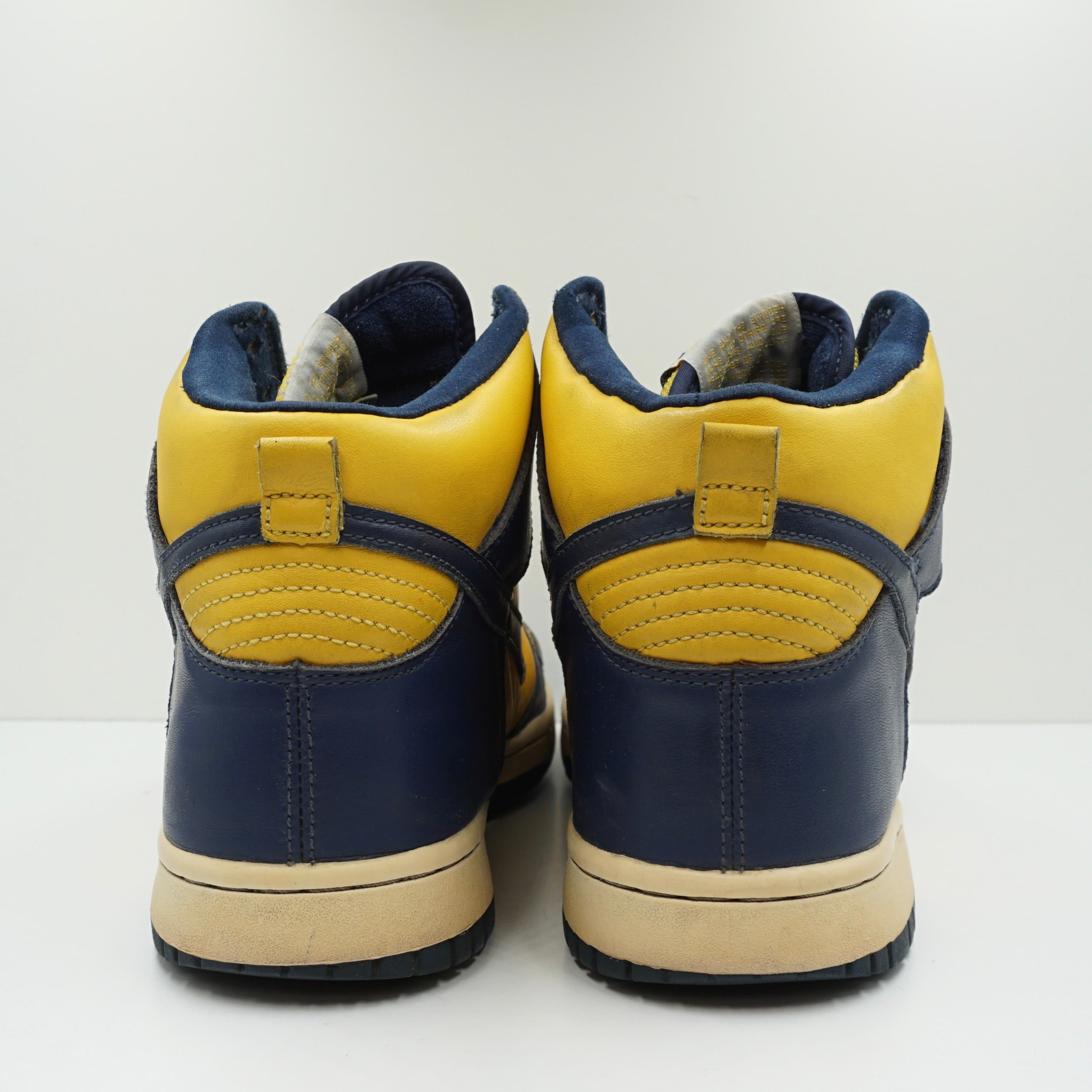 Nike Dunk High Michigan (2003)
