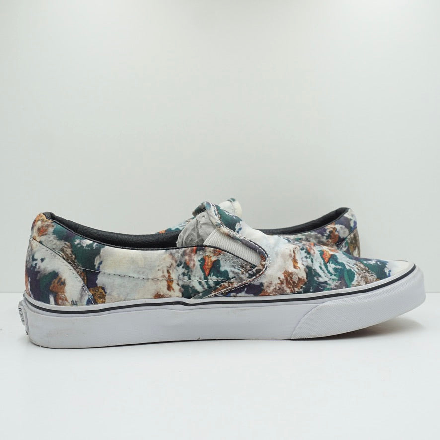 Vans Slip On Earth