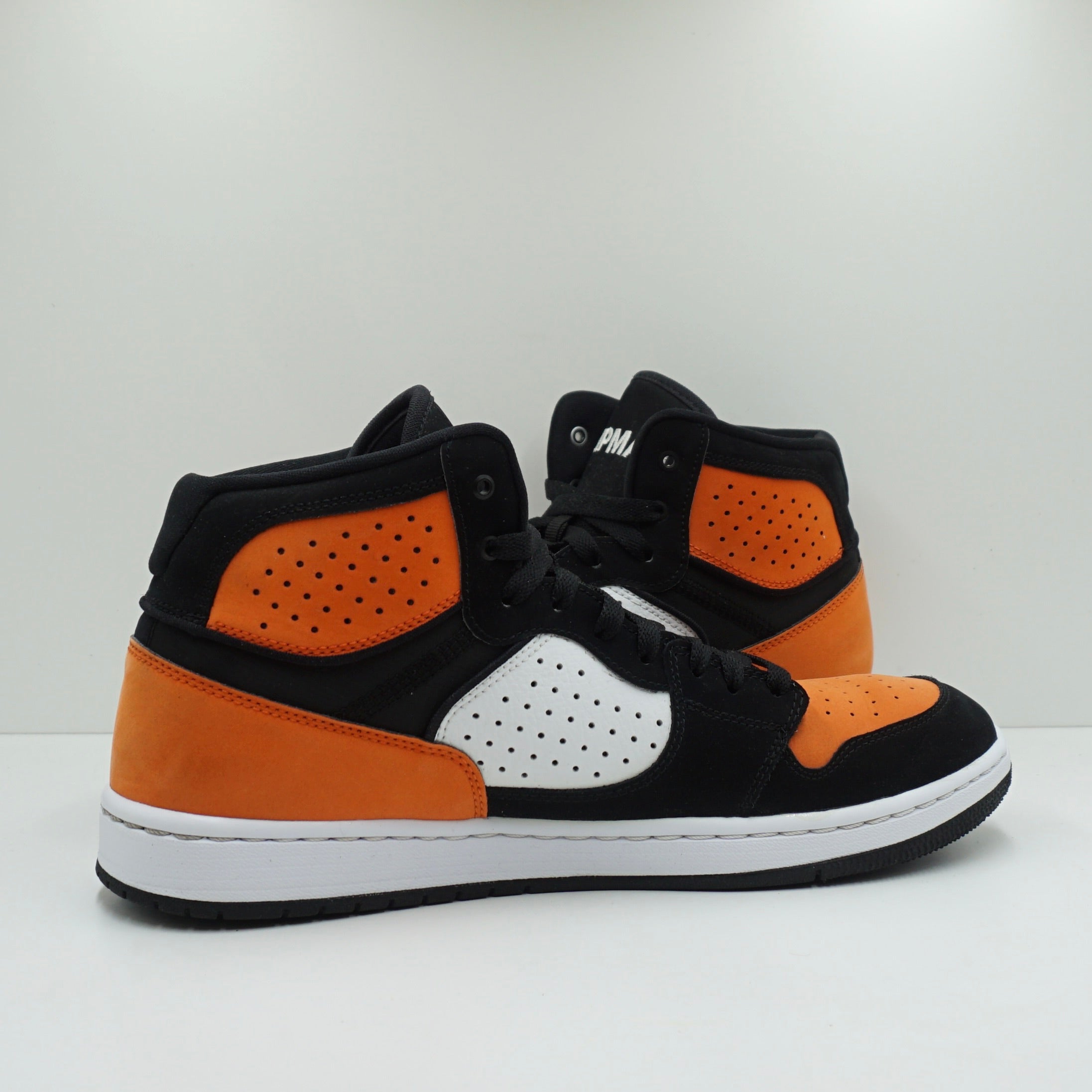 Jordan Access Shattered Backboard