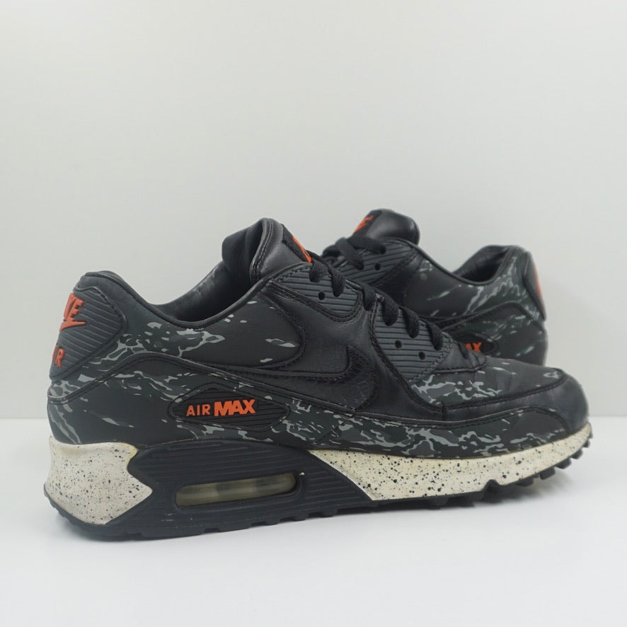 Nike Air Max 90 Atmos Black Tiger Camo
