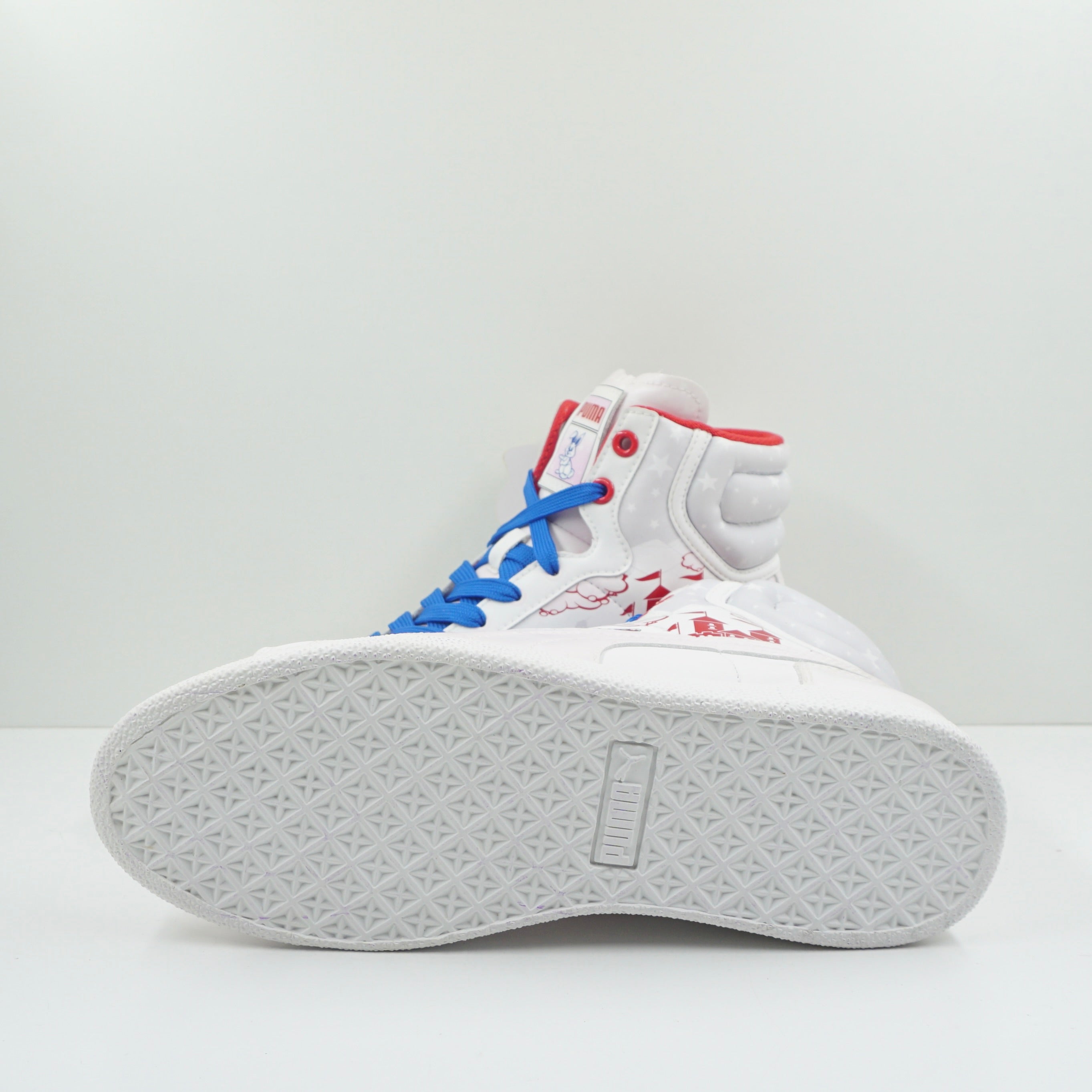 Puma Pump First Round x Freezy Freakies Sample (2011)