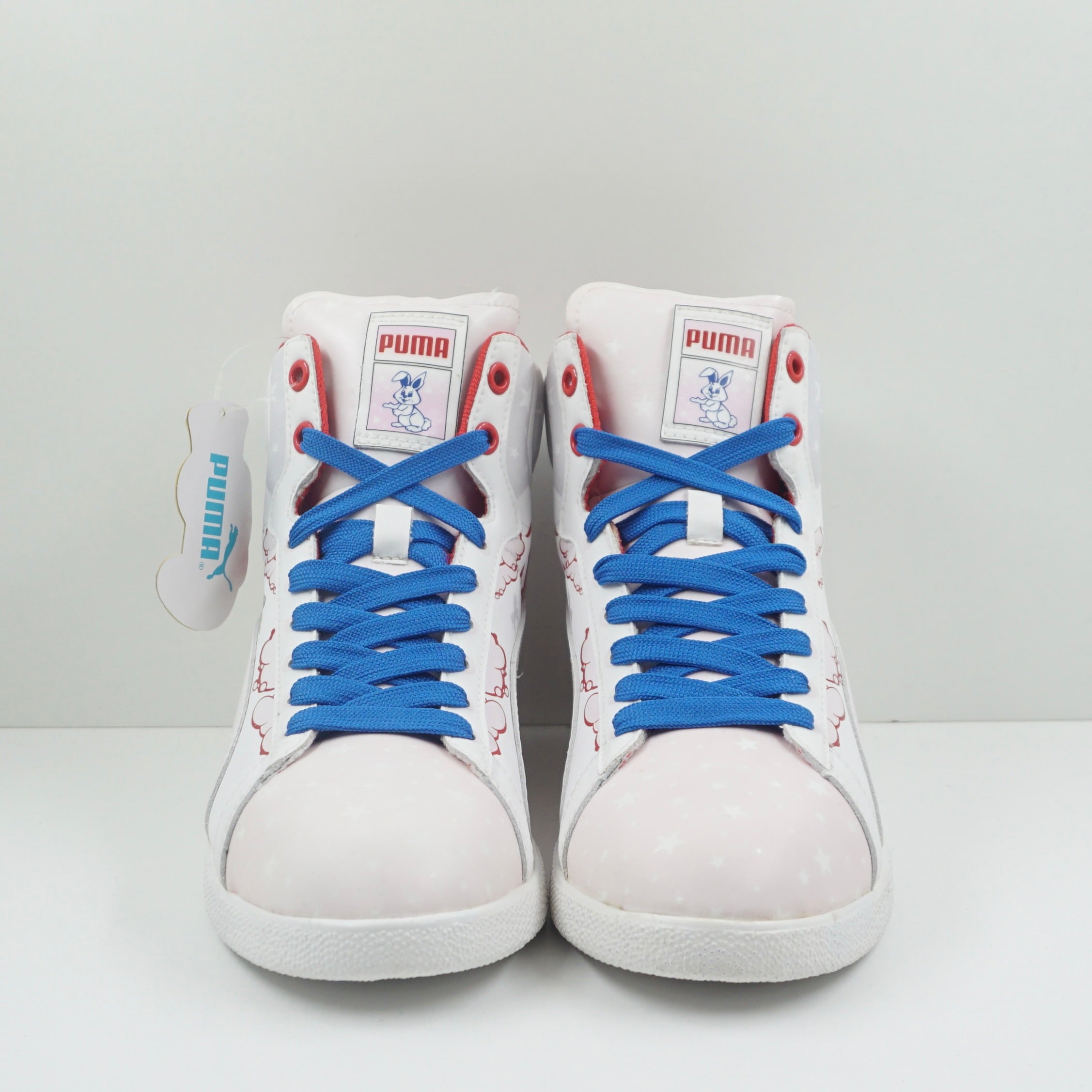 Puma Pump First Round x Freezy Freakies Sample (2011)