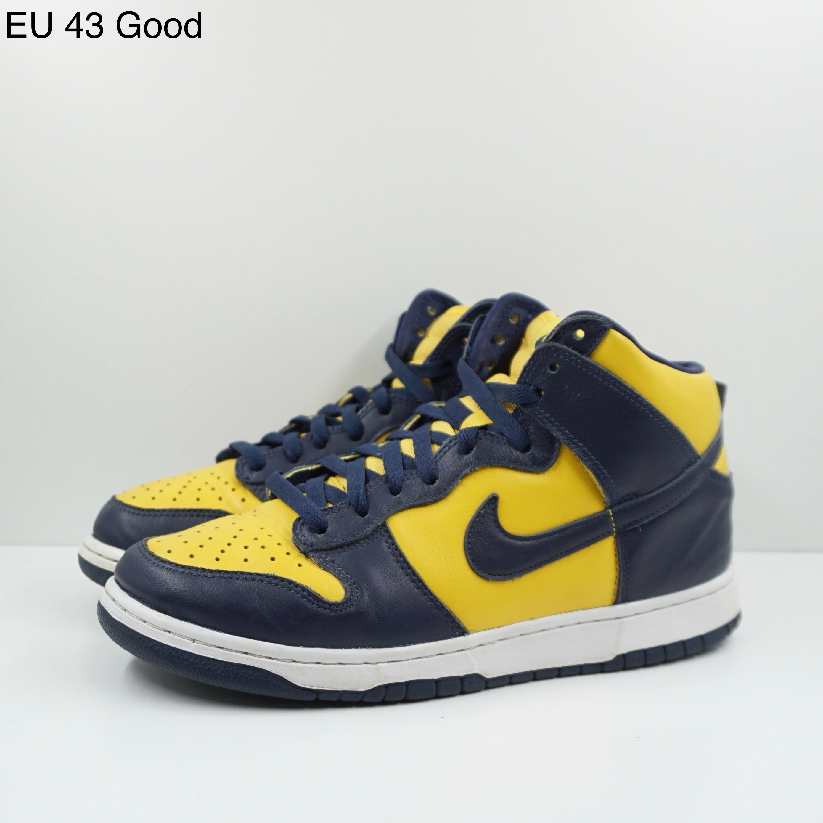 Nike Dunk High Michigan (2020)