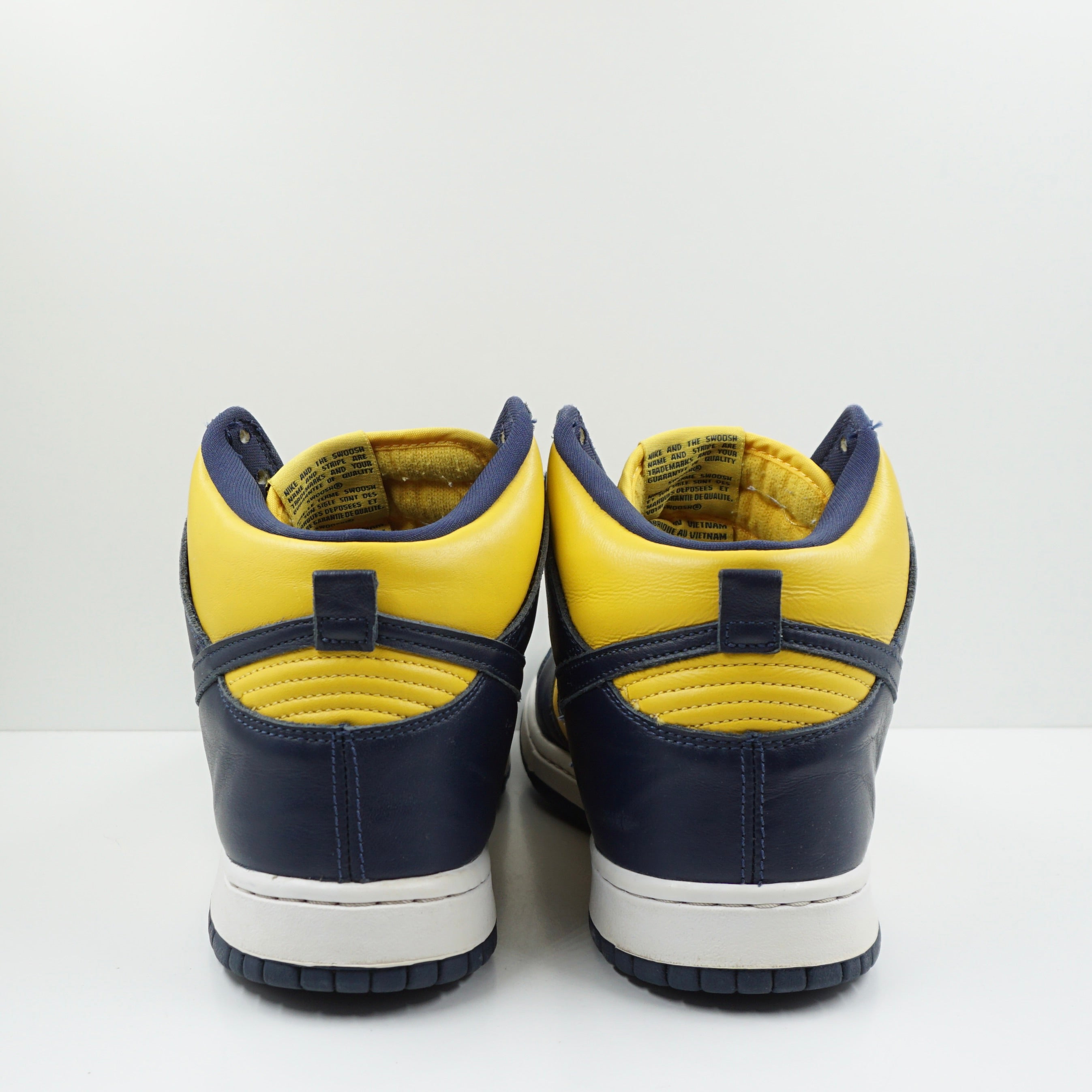 Nike Dunk High Michigan (2020)
