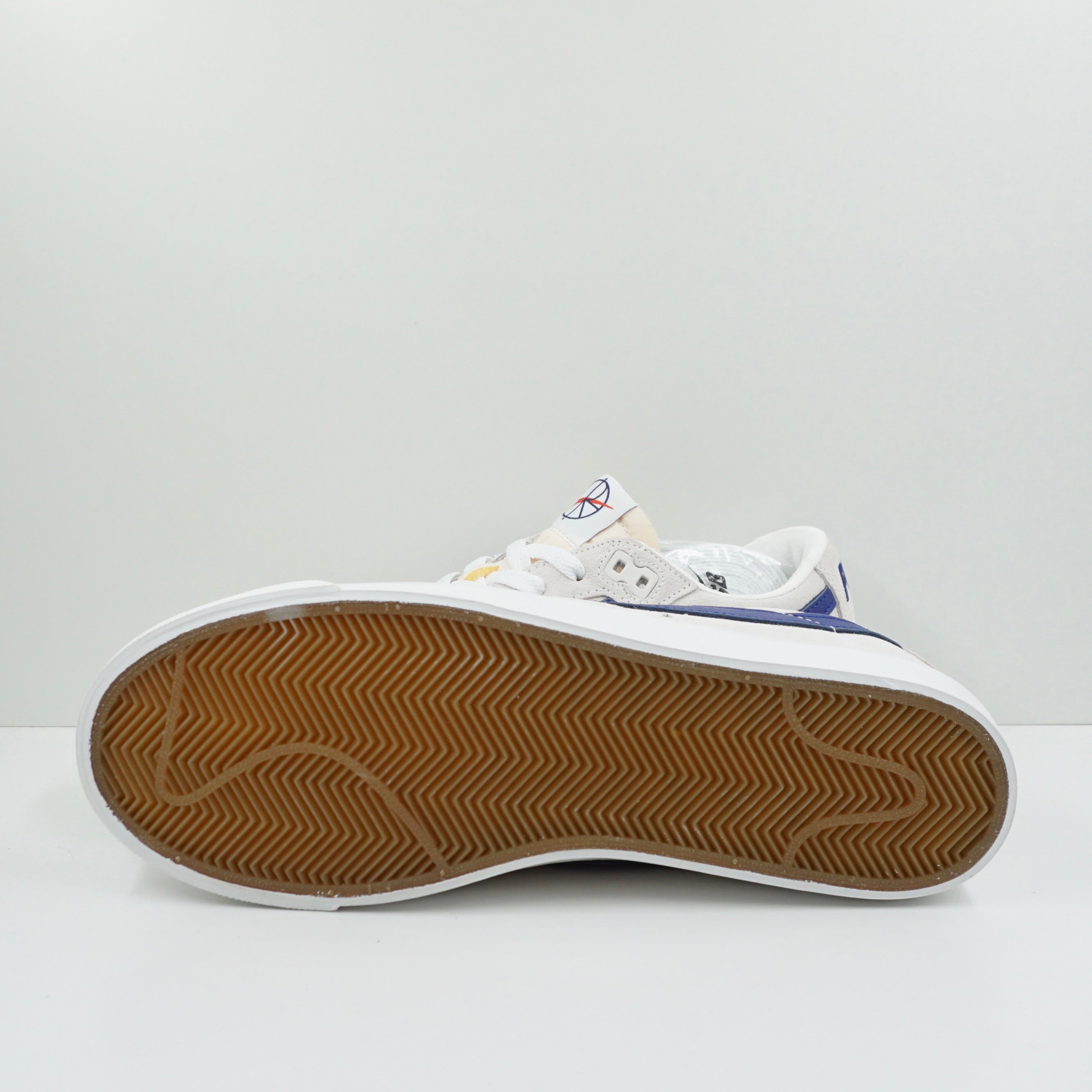Nike SB Blazer Low Polar Skate Co
