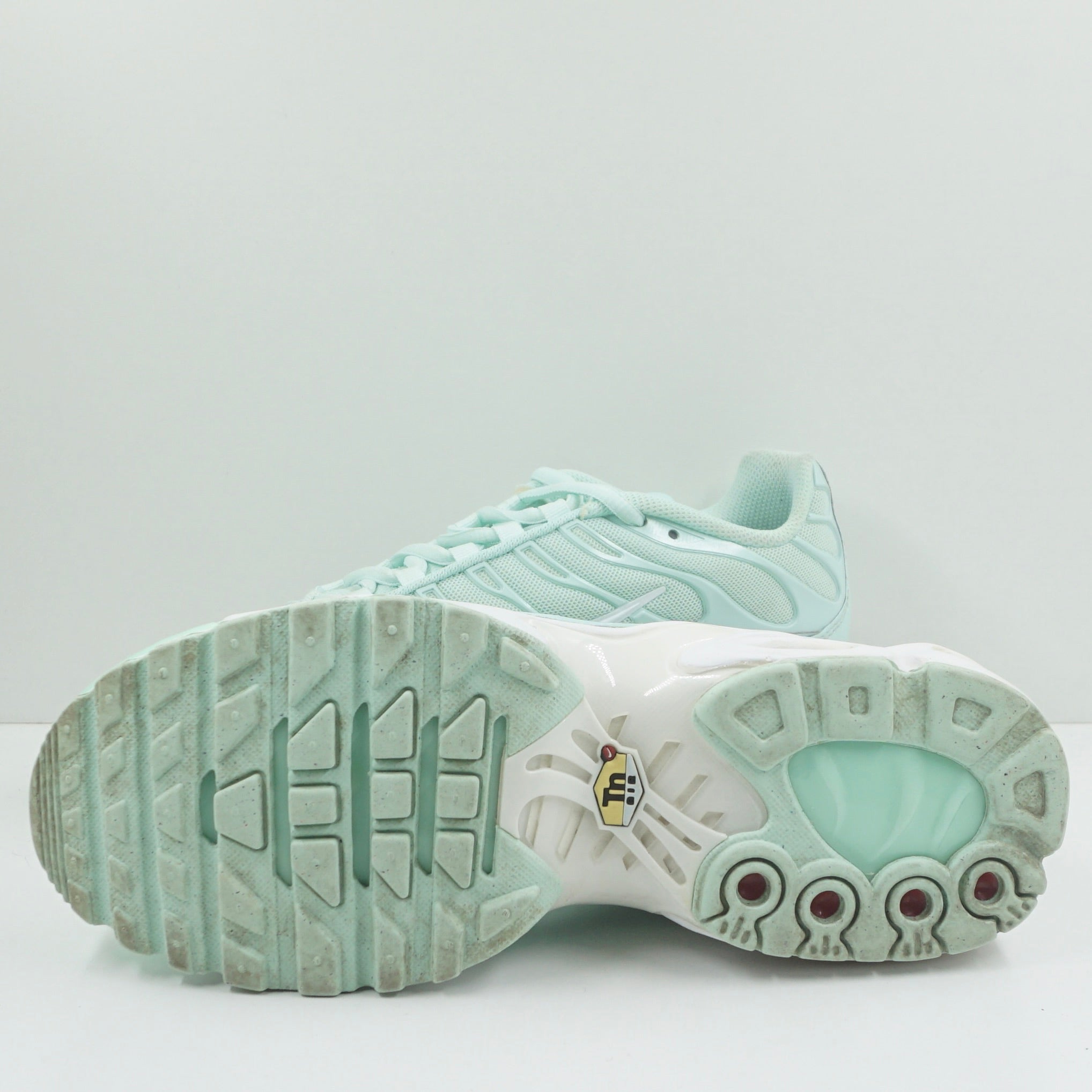 Nike Air Max Plus Igloo (GS)