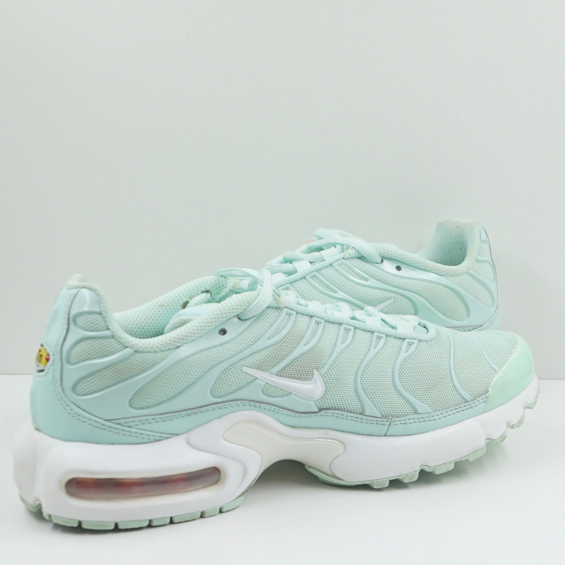 Nike Air Max Plus Igloo (GS)