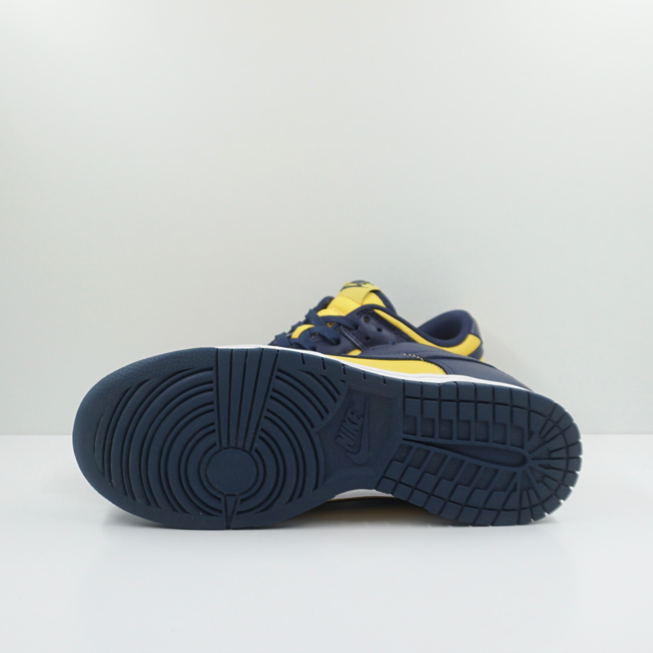 Nike Dunk Low Michigan (2021)