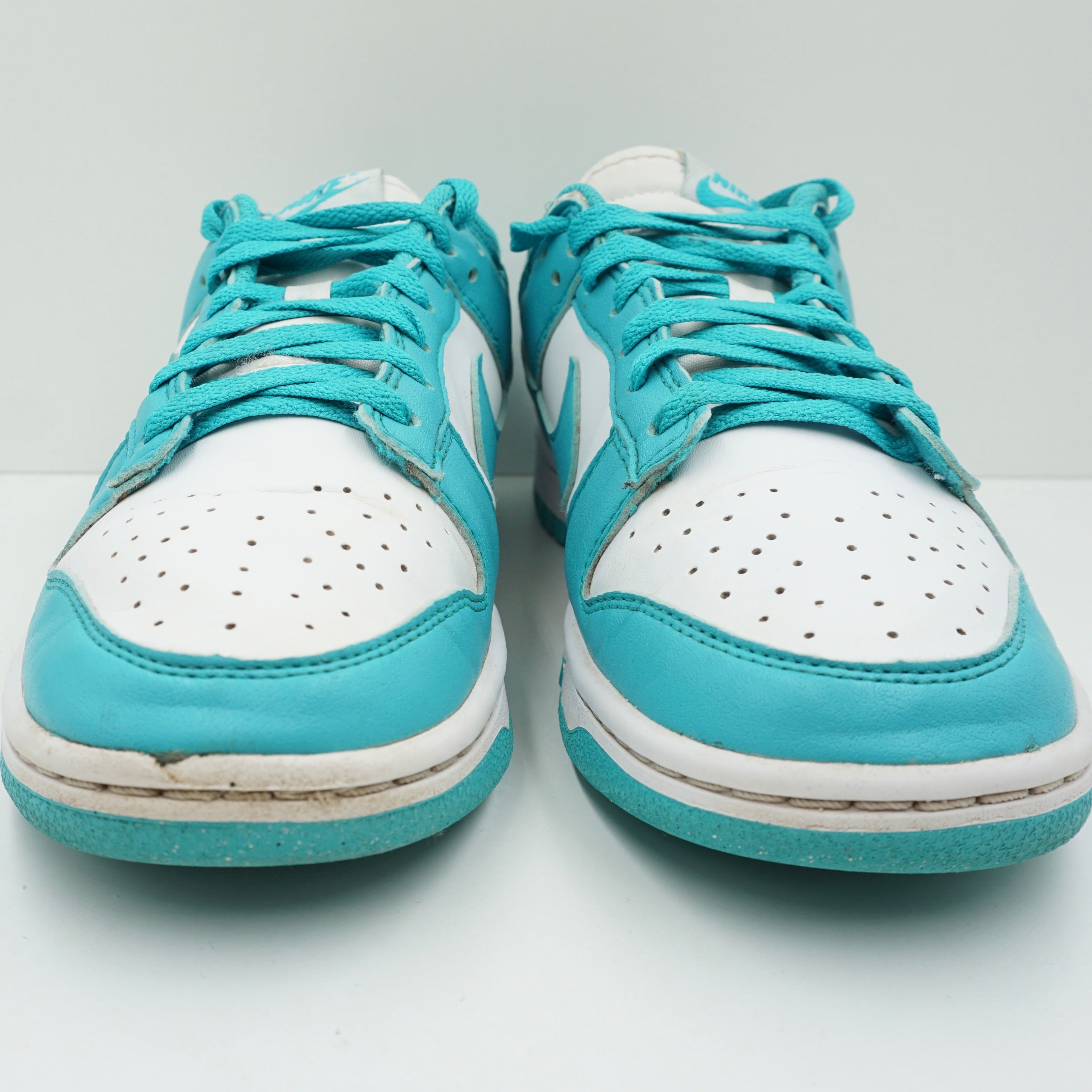 Nike Dunk Low Next Nature Dusty Cactus (W)