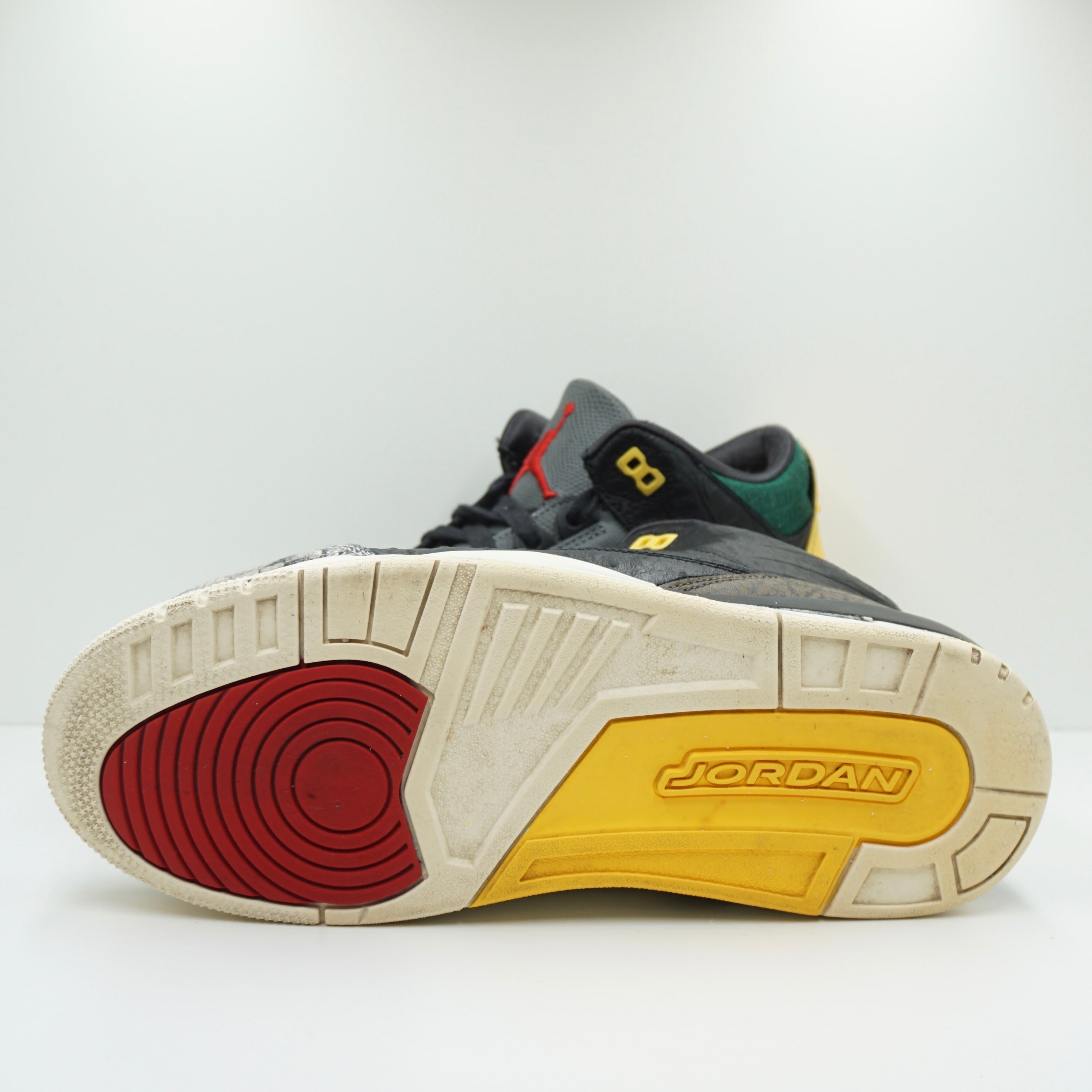 Jordan 3 Retro SE Animal Instinct 2.0