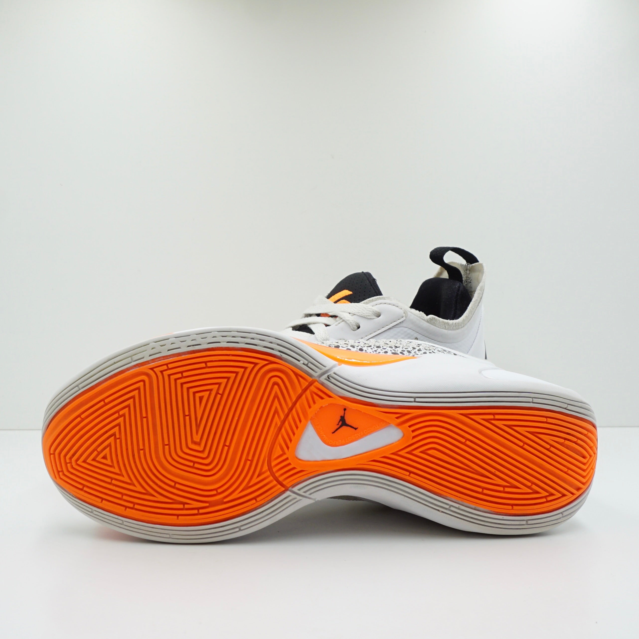 Jordan Luka 1 Safari (GS)