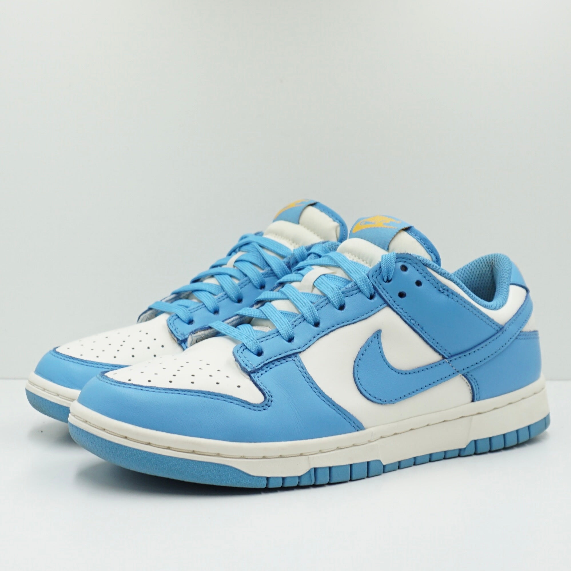 Nike Dunk Low Coast (W)