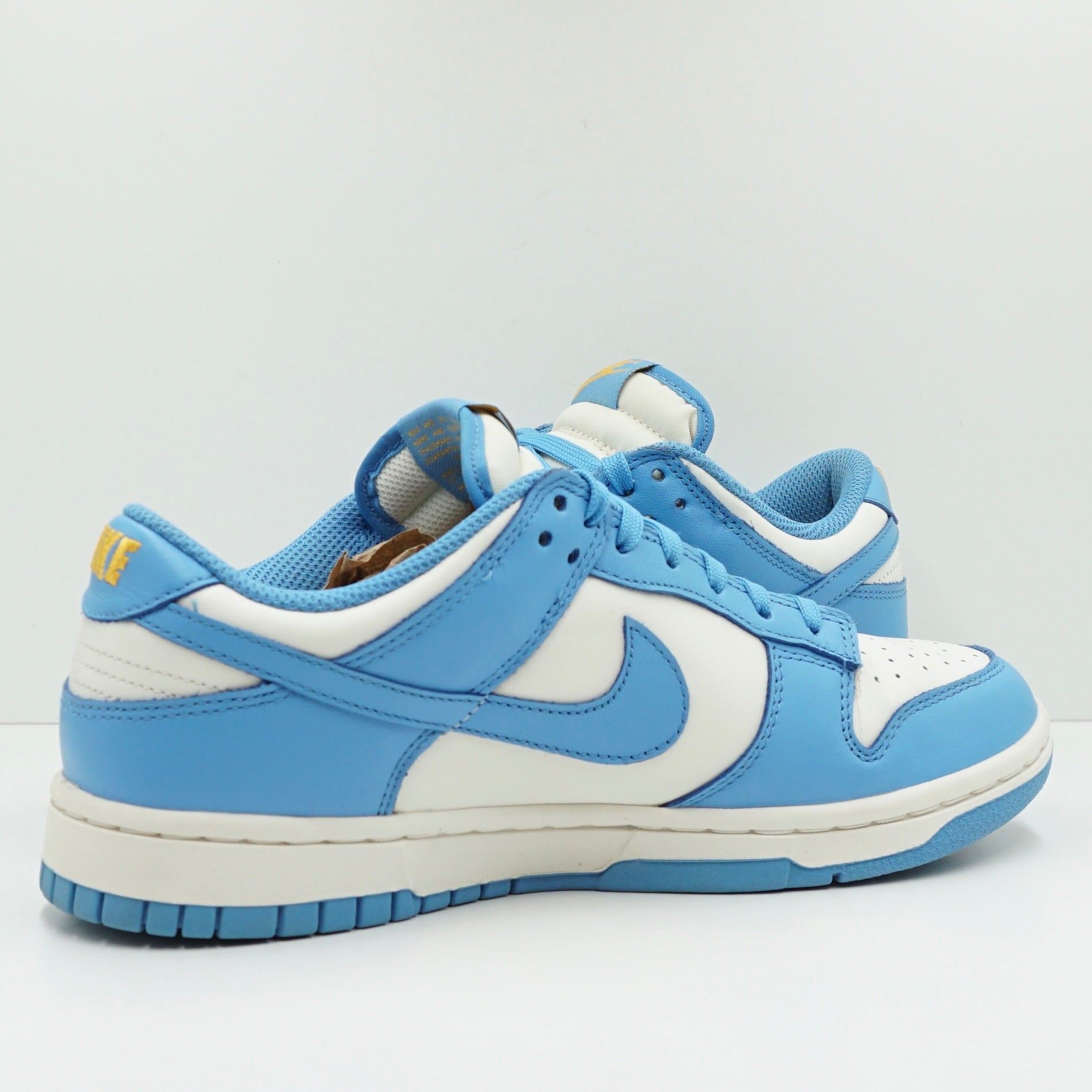 Nike Dunk Low Coast (W)