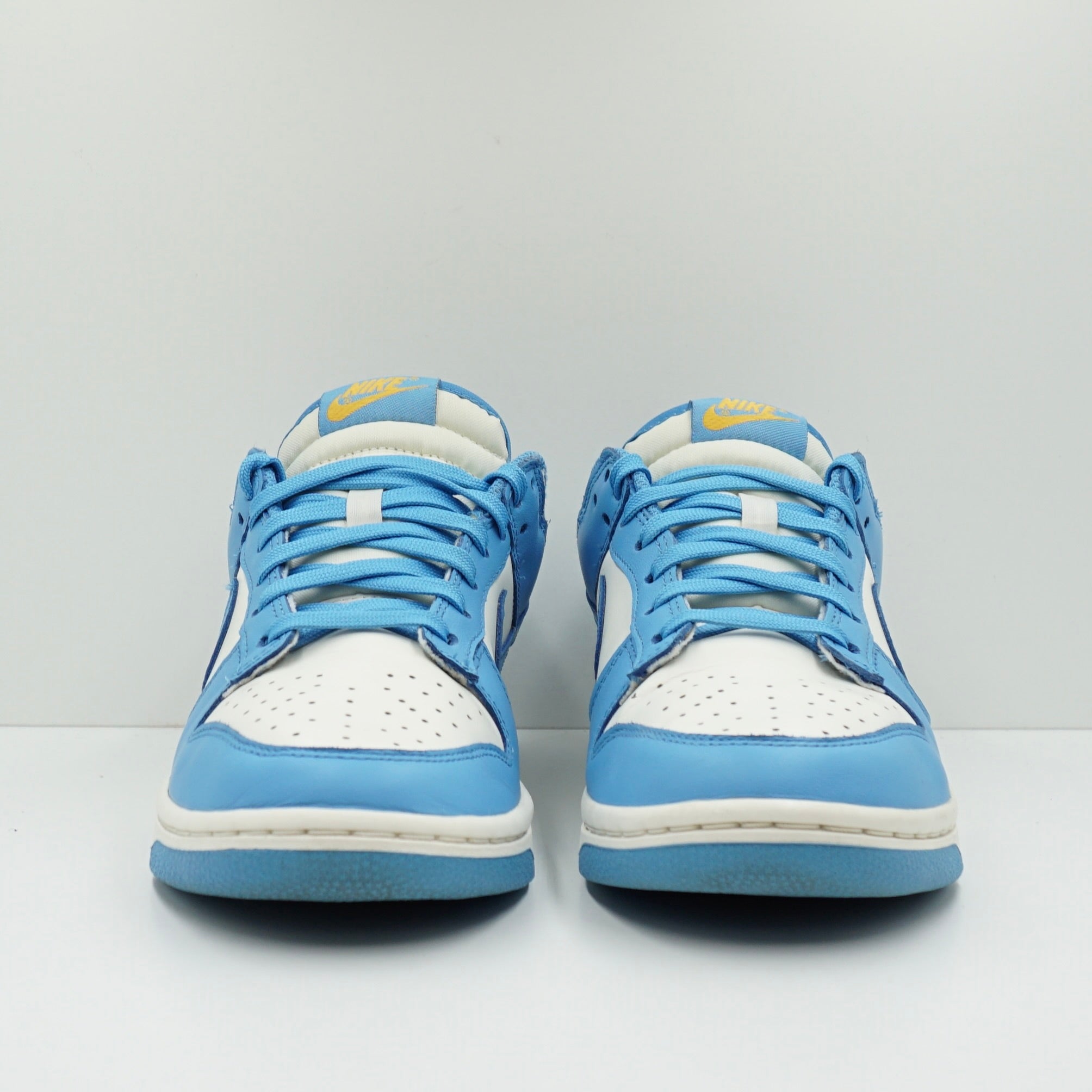 Nike Dunk Low Coast (W)