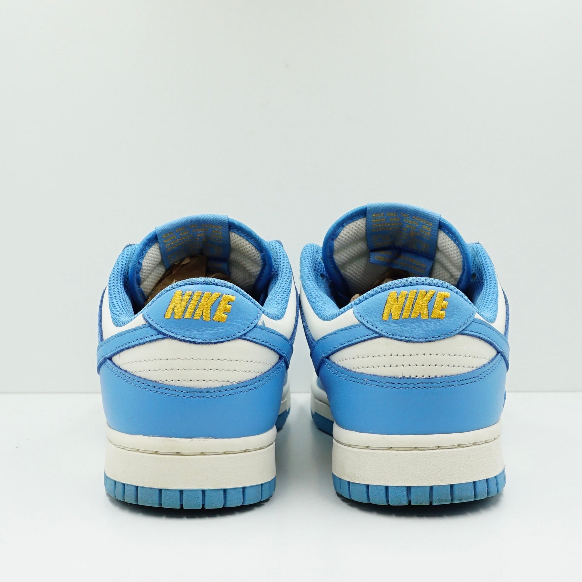 Nike Dunk Low Coast (W)