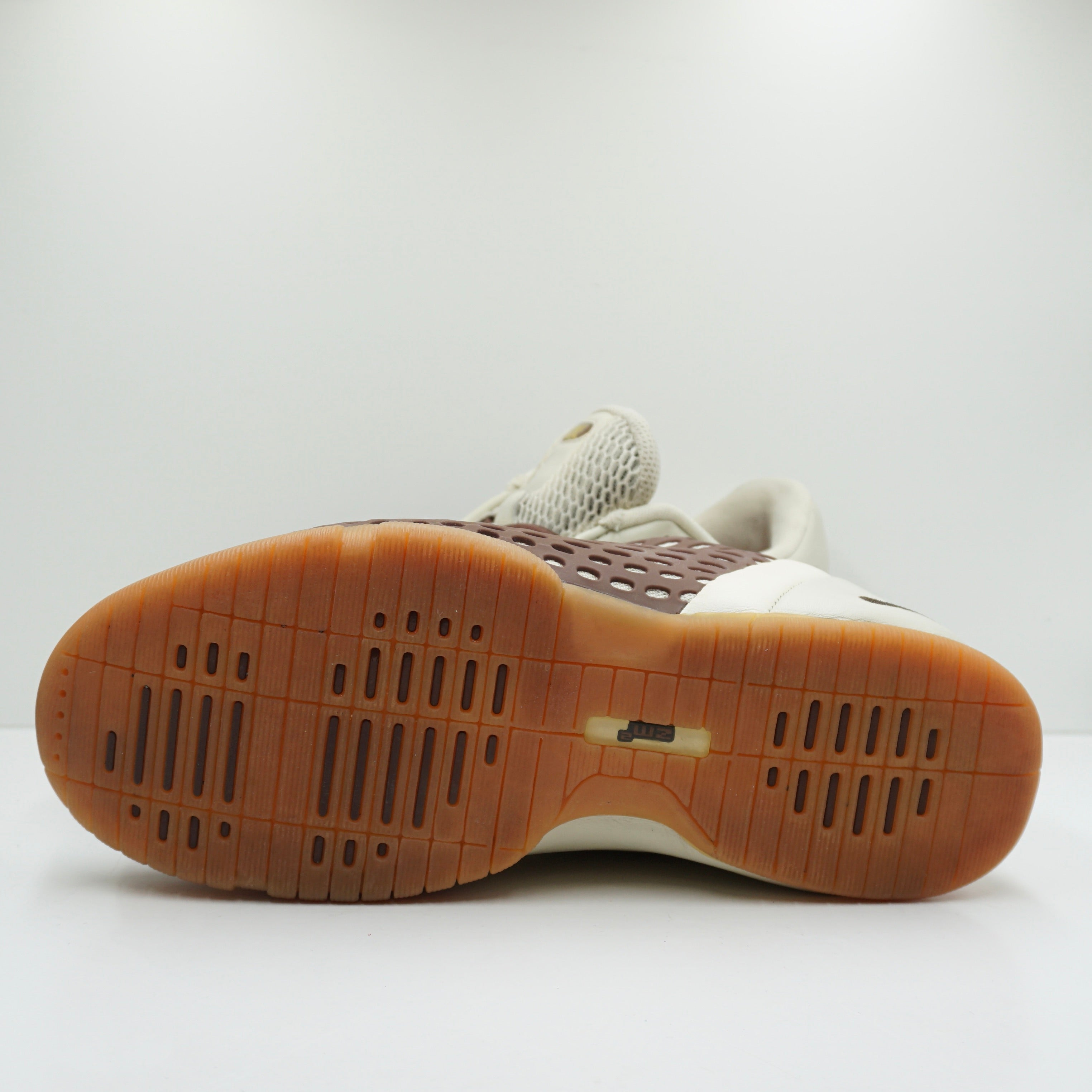 Nike SB Zoom Air E-Cue Reed