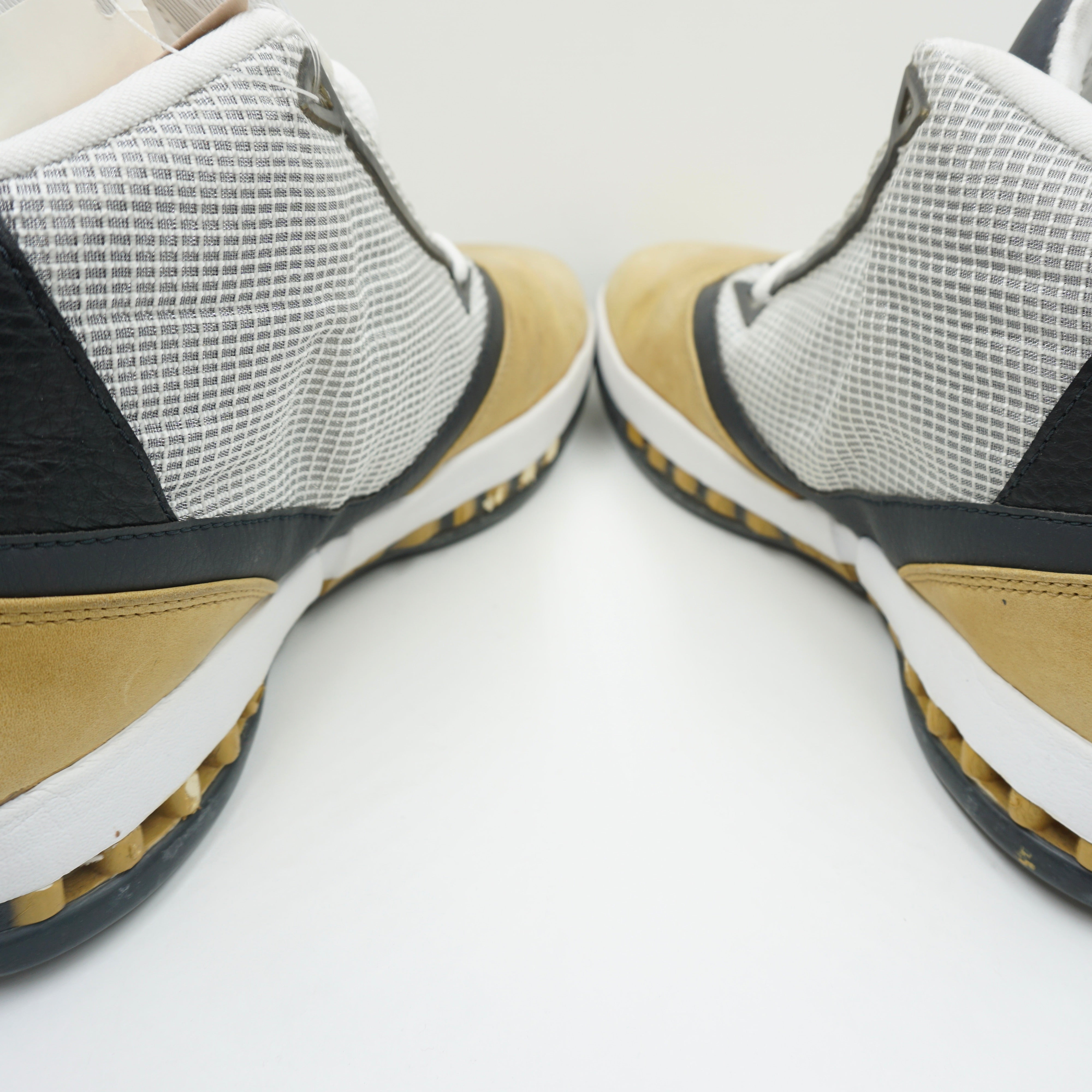 Jordan 16 OG Ginger (2001)