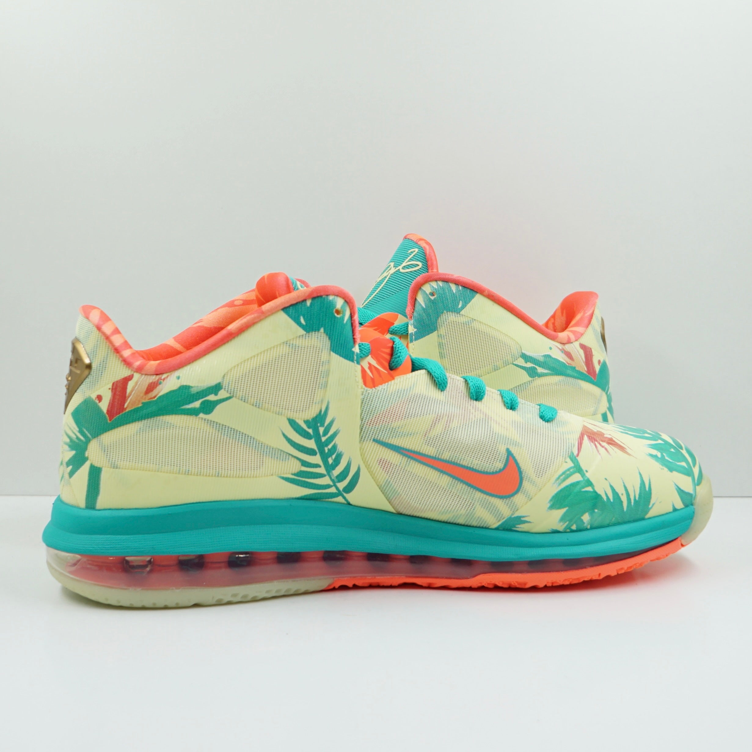 Nike LeBron 9 Low LeBronald Palmer (2022)