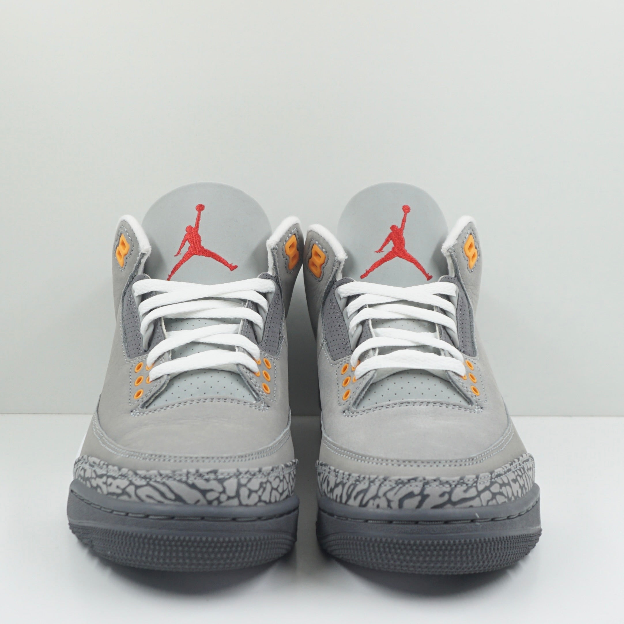 Jordan 3 Retro Cool Grey (2021)
