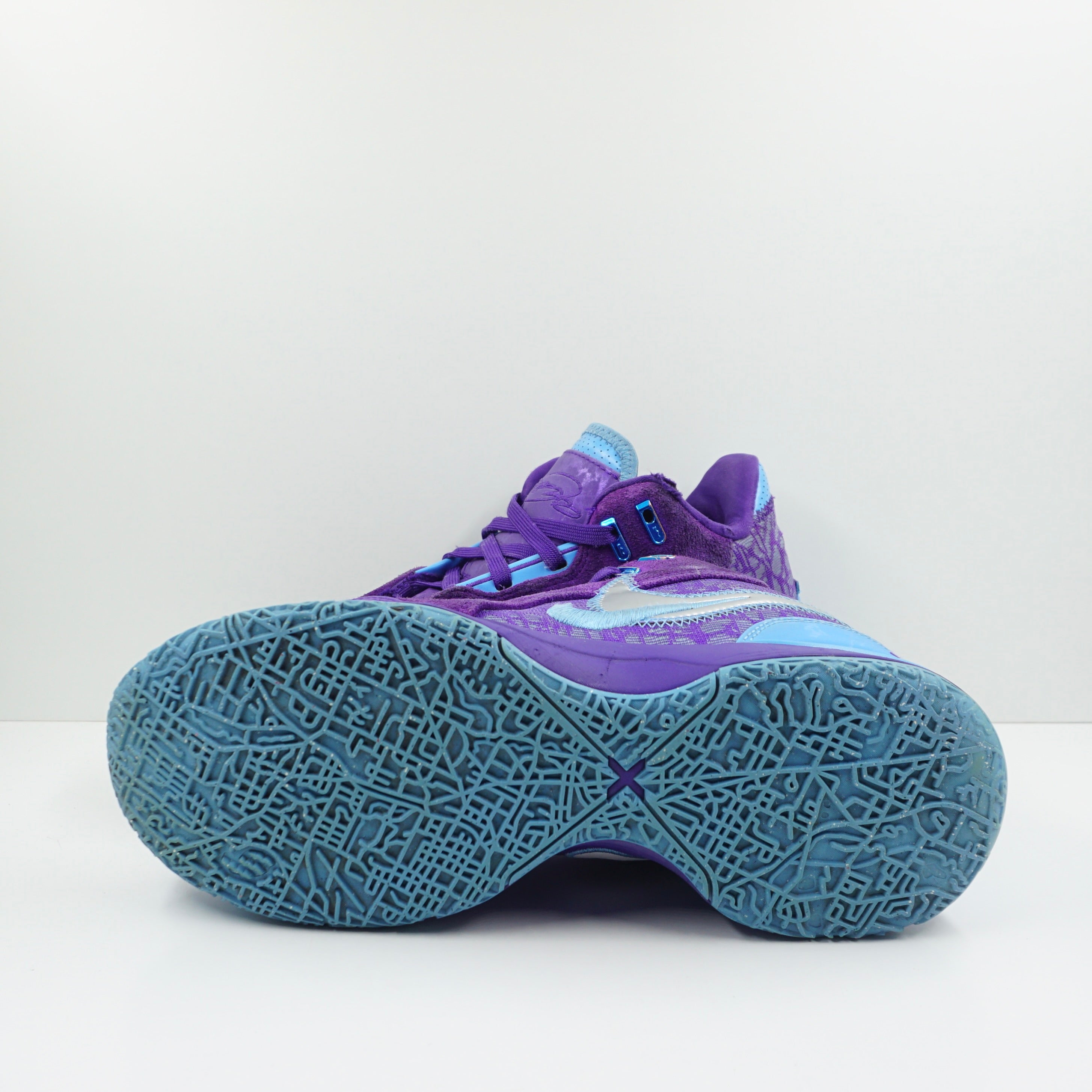 Nike Zoom LeBron NXXT Gen AMPD Summit Lake Hornets