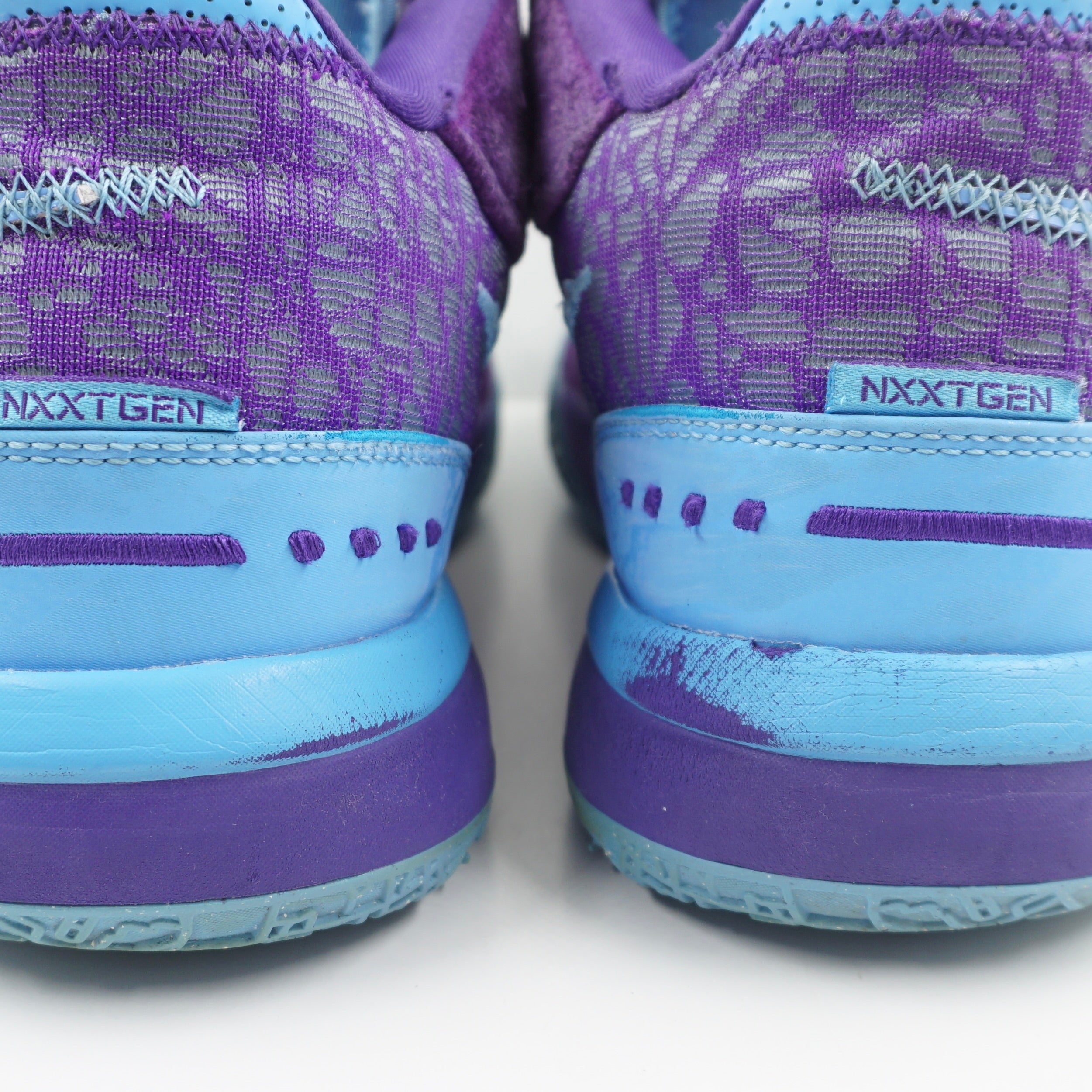 Nike Zoom LeBron NXXT Gen AMPD Summit Lake Hornets