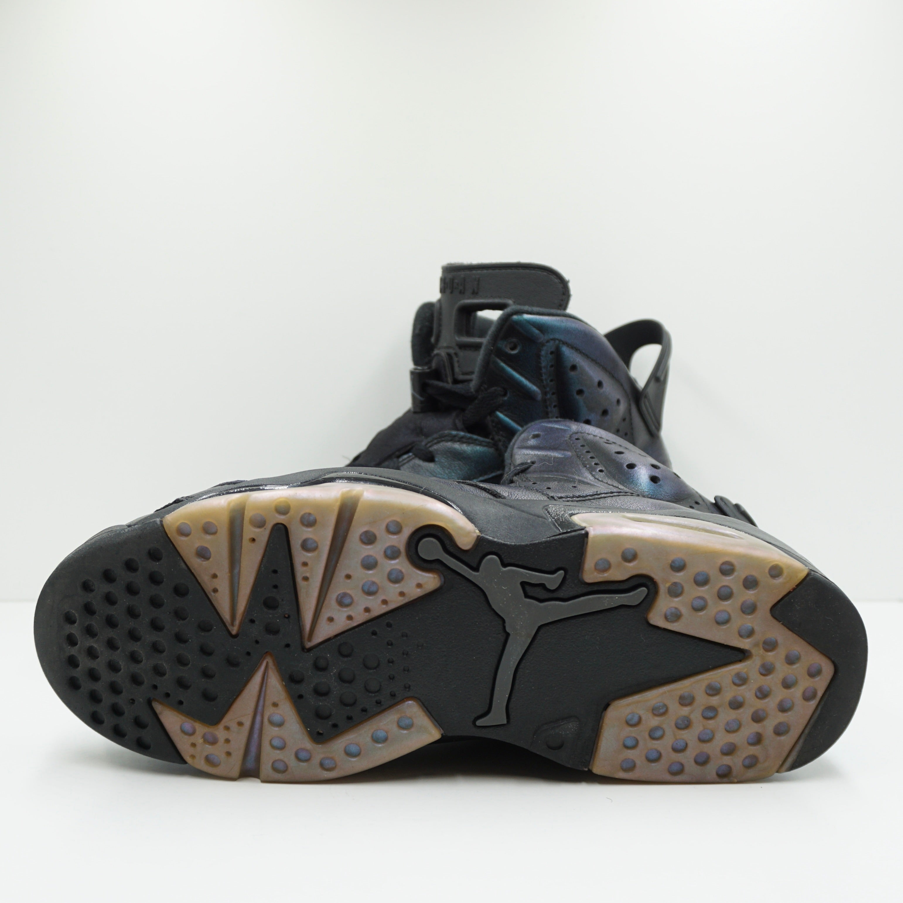Jordan 6 Retro All Star Chameleon (2017)