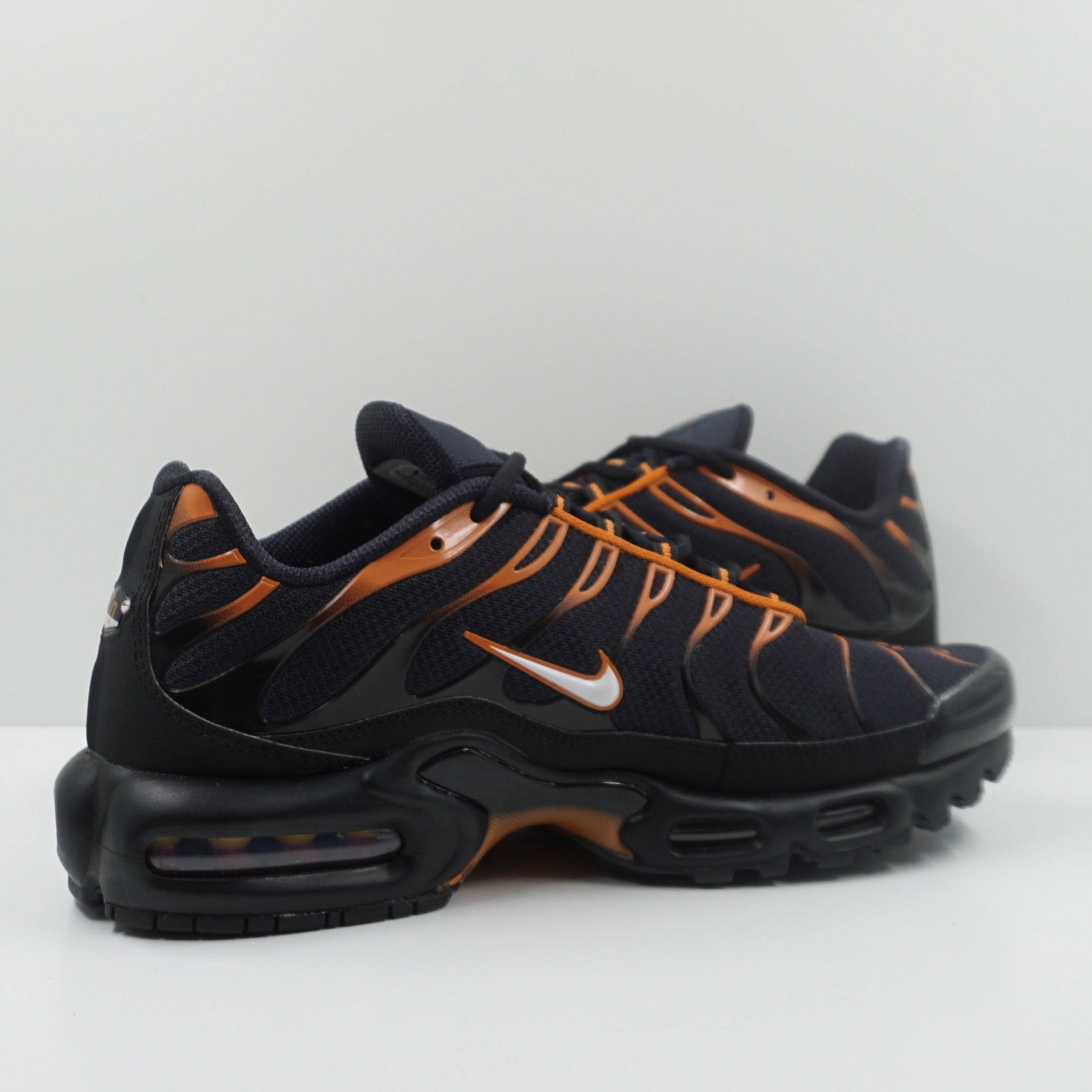 Nike Air Max Plus Dark Obsidian Monarch