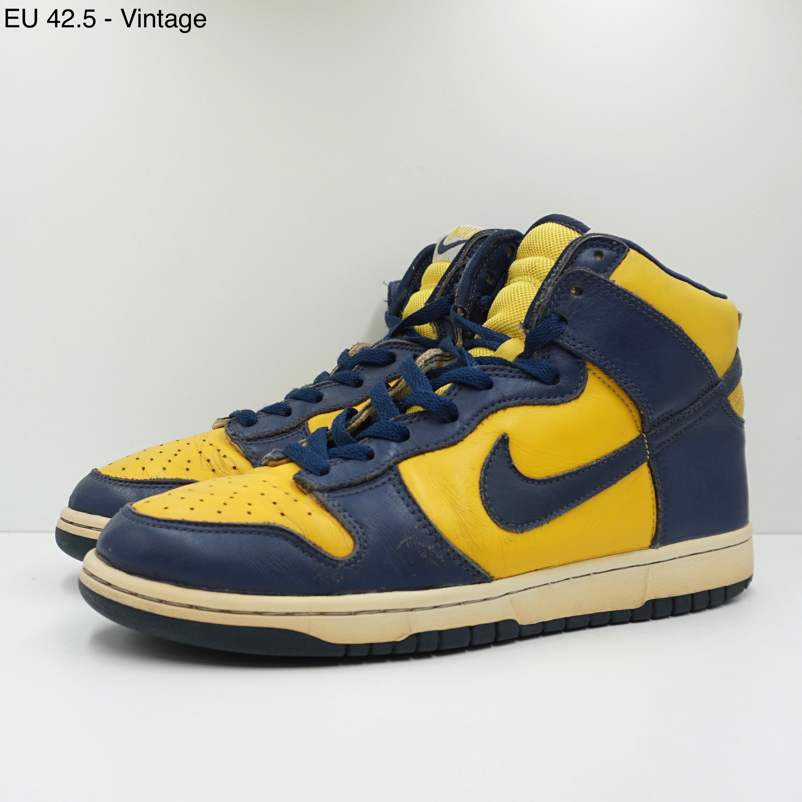 Nike Dunk High Michigan (2003)