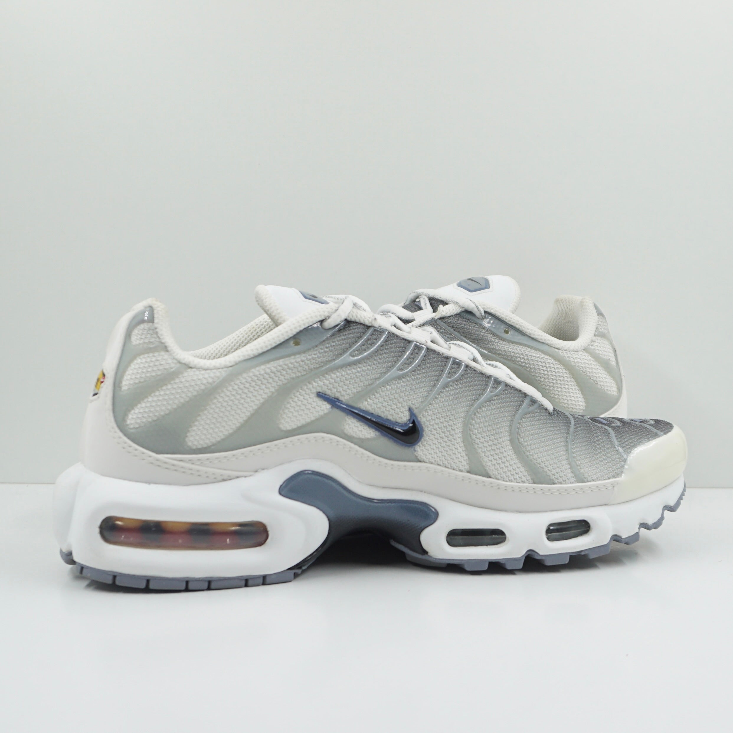 Nike Air Max Plus Smoke Grey Ashen Slate (W)