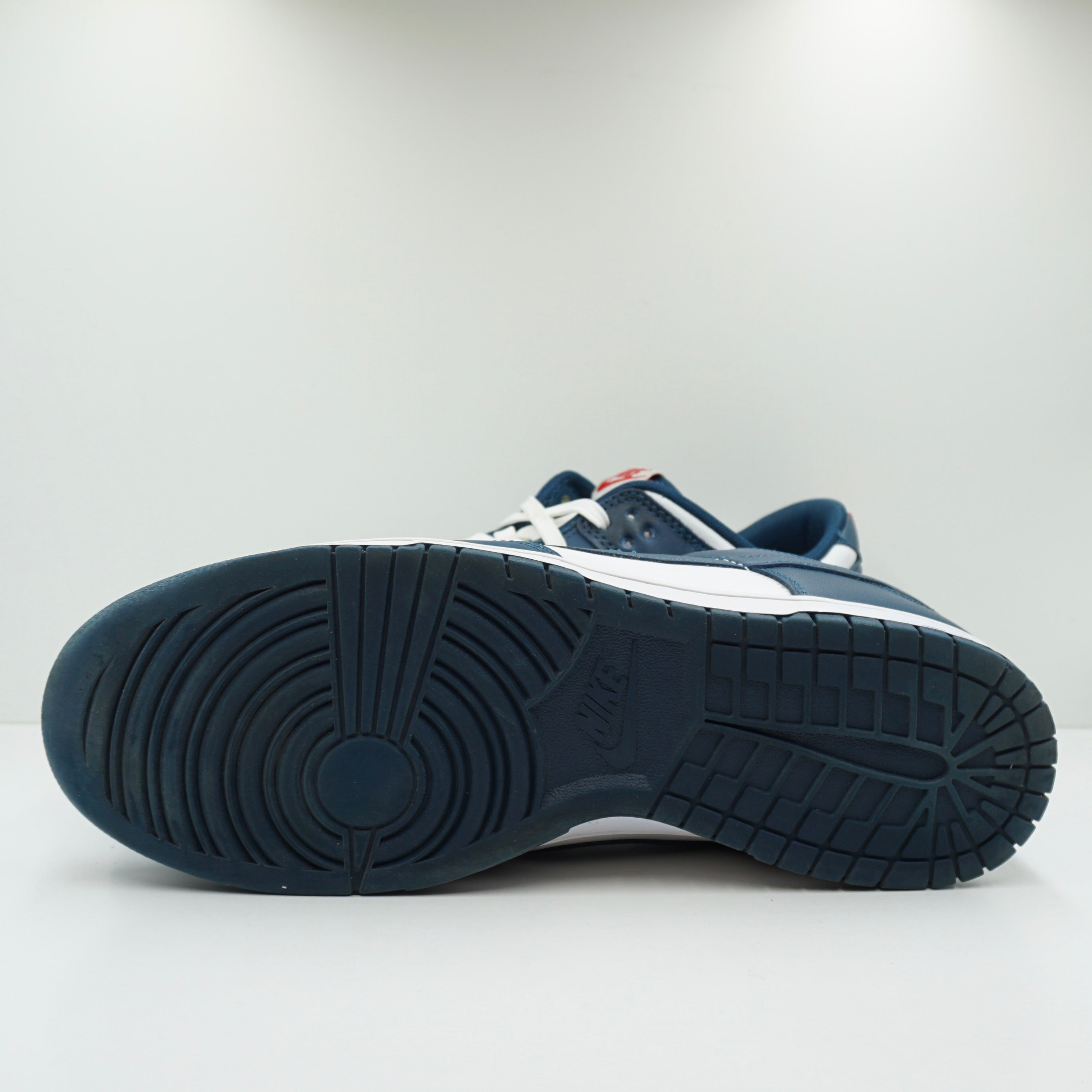 Nike Dunk Low Valerian Blue
