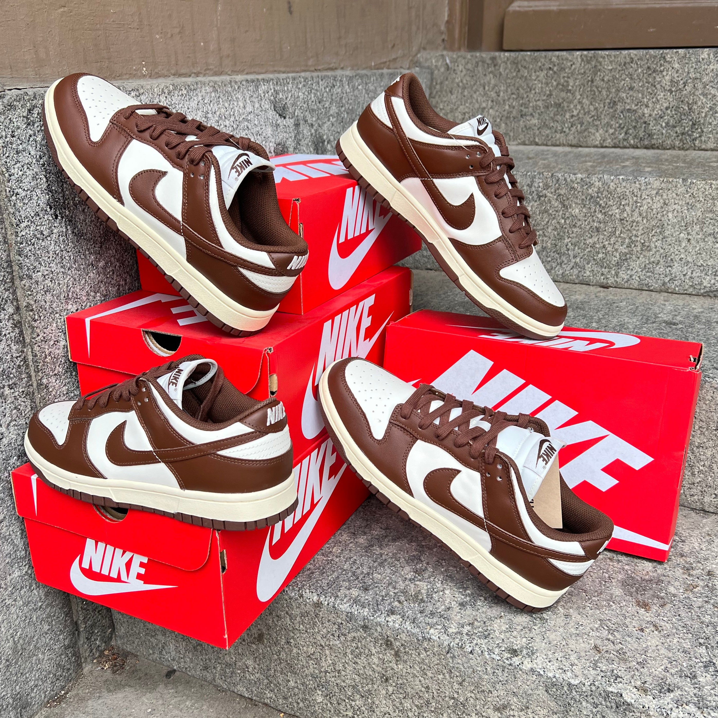 Nike Dunk Low Cacao Wow (W)