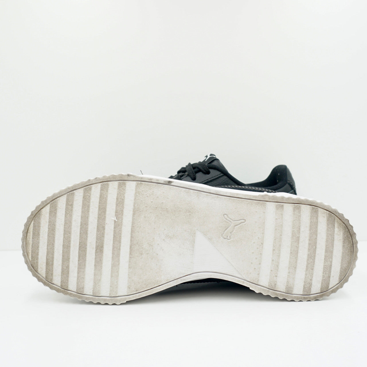 Puma Carina L (W)