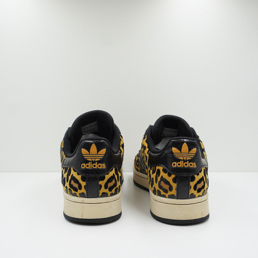 Adidas Superstar Leopard, Men's Fashion, Footwear, Sneakers on Carousell