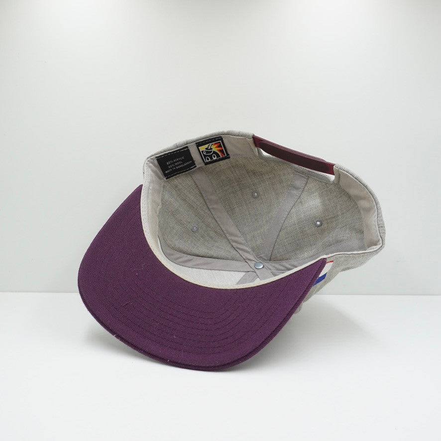 The Hundreds LA Grey Purple Snapback Cap