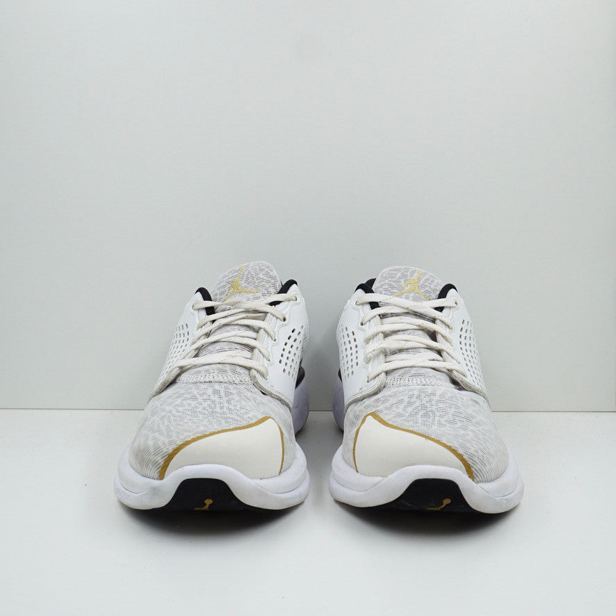 Jordan Trainer ST Premium White Gold