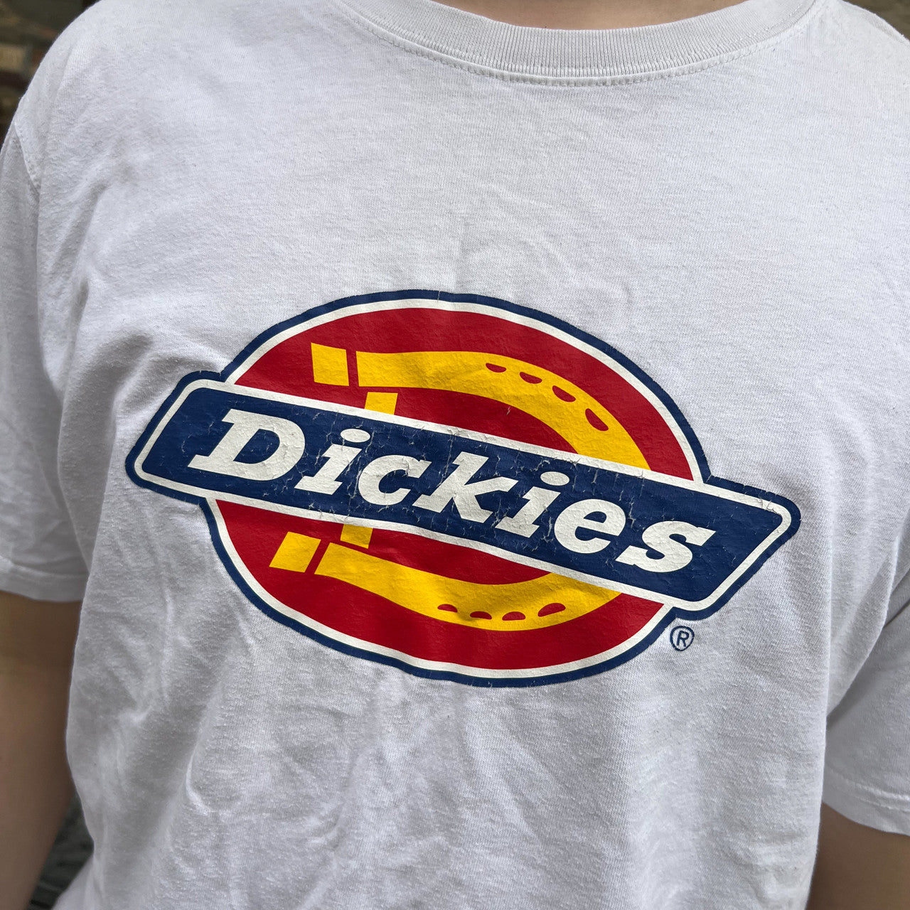 Dickies Graphic Logo Tshirt