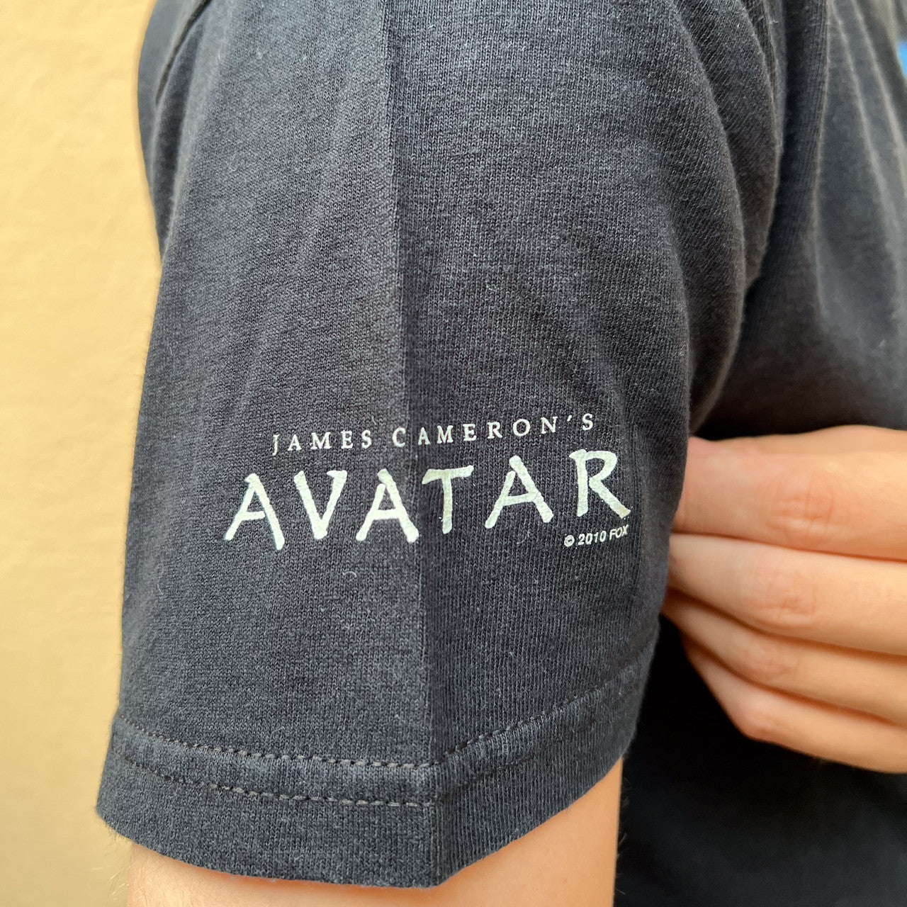 Gildan Avatar 2010 Tshirt